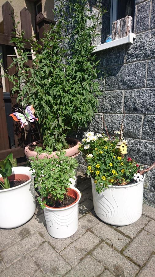 Ferienwohnung Mit Garten Und Spielplatz Клингентал Екстериор снимка